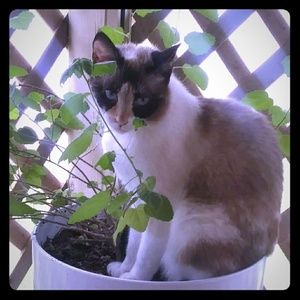 Meet your Posher, Donna